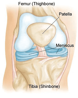 What is a meniscus
