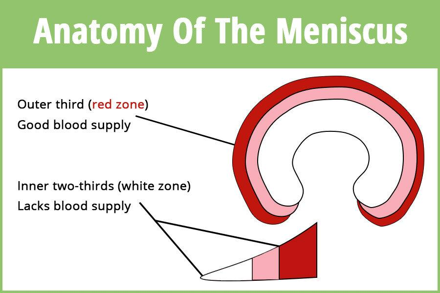 Why do some Meniscus tears heal and others don't